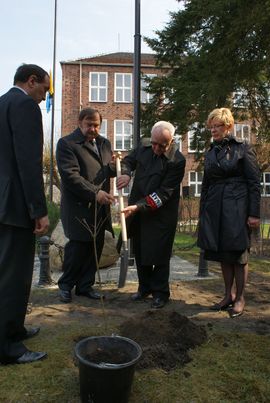 Dąb sadzili (od lewej): Wiesław Krukowski, dyrektor LO,  były poseł Edward Daszkiewicz, Włodzimierz Bogucki z „Rodziny Katyńskiej”  oraz starosta Małgorzata Lachowicz-Murawska